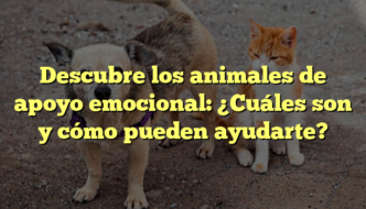 Descubre los animales de apoyo emocional: ¿Cuáles son y cómo pueden ayudarte?