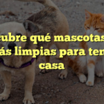 Descubre qué mascotas son las más limpias para tener en casa