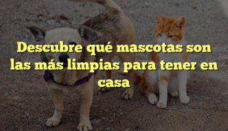 Descubre qué mascotas son las más limpias para tener en casa