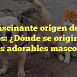 El fascinante origen de los perros: ¿Dónde se originaron estas adorables mascotas?