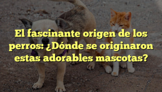 El fascinante origen de los perros: ¿Dónde se originaron estas adorables mascotas?