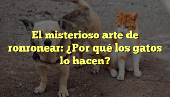El misterioso arte de ronronear: ¿Por qué los gatos lo hacen?