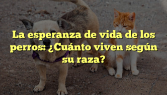 La esperanza de vida de los perros: ¿Cuánto viven según su raza?