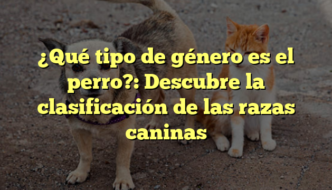 ¿Qué tipo de género es el perro?: Descubre la clasificación de las razas caninas