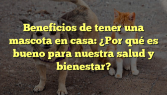Beneficios de tener una mascota en casa: ¿Por qué es bueno para nuestra salud y bienestar?