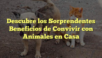 Descubre los Sorprendentes Beneficios de Convivir con Animales en Casa