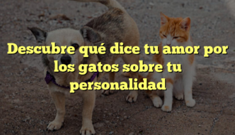 Descubre qué dice tu amor por los gatos sobre tu personalidad