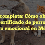 Guía completa: Cómo obtener el certificado de perro de apoyo emocional en México