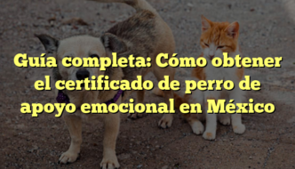Guía completa: Cómo obtener el certificado de perro de apoyo emocional en México