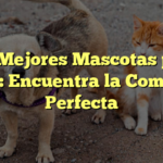 Las Mejores Mascotas para Niños: Encuentra la Compañía Perfecta