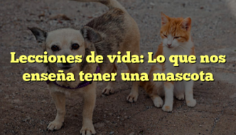 Lecciones de vida: Lo que nos enseña tener una mascota