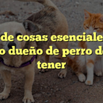 Lista de cosas esenciales que todo dueño de perro debe tener