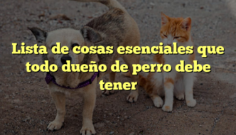 Lista de cosas esenciales que todo dueño de perro debe tener