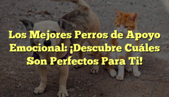Los Mejores Perros de Apoyo Emocional: ¡Descubre Cuáles Son Perfectos Para Ti!