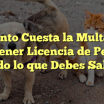 ¿Cuánto Cuesta la Multa por no Tener Licencia de Perro? Todo lo que Debes Saber