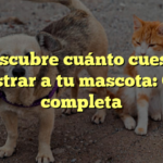 Descubre cuánto cuesta registrar a tu mascota: Guía completa