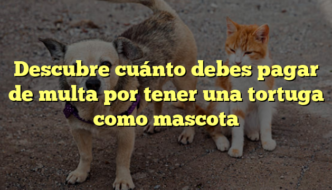 Descubre cuánto debes pagar de multa por tener una tortuga como mascota