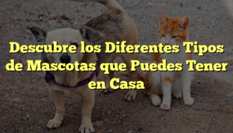 Descubre los Diferentes Tipos de Mascotas que Puedes Tener en Casa