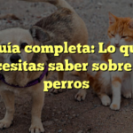 Guía completa: Lo que necesitas saber sobre los perros