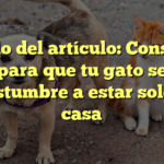 Título del artículo: Consejos para que tu gato se acostumbre a estar solo en casa
