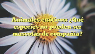 Animales exóticos: ¿Qué especies no pueden ser mascotas de compañía?