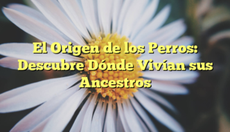 El Origen de los Perros: Descubre Dónde Vivían sus Ancestros