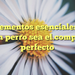 Los elementos esenciales para que un perro sea el compañero perfecto