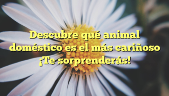 Descubre qué animal doméstico es el más cariñoso ¡Te sorprenderás!