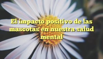 El impacto positivo de las mascotas en nuestra salud mental