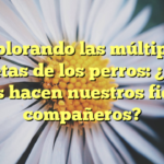 Explorando las múltiples facetas de los perros: ¿Qué más hacen nuestros fieles compañeros?
