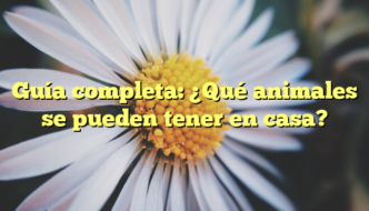Guía completa: ¿Qué animales se pueden tener en casa?