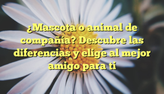 ¿Mascota o animal de compañía? Descubre las diferencias y elige al mejor amigo para ti
