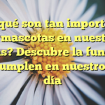 ¿Por qué son tan importantes las mascotas en nuestras vidas? Descubre la función que cumplen en nuestro día a día