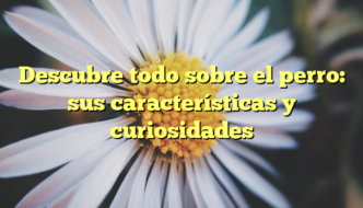Descubre todo sobre el perro: sus características y curiosidades