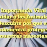 La Importancia Vital de Cuidar a los Animales: Descubre por qué es fundamental proteger a nuestras mascotas