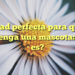 La edad perfecta para que un niño tenga una mascota: ¿Cuál es?