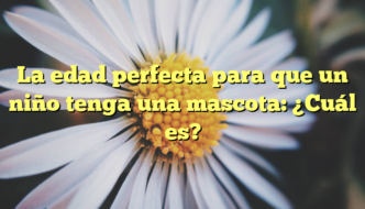 La edad perfecta para que un niño tenga una mascota: ¿Cuál es?