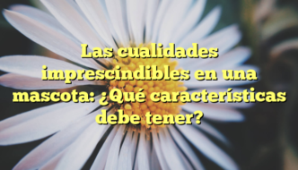 Las cualidades imprescindibles en una mascota: ¿Qué características debe tener?