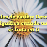 Señales de cariño: Descubre qué significa cuando un gato se frota en ti