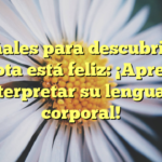 10 señales para descubrir si tu mascota está feliz: ¡Aprende a interpretar su lenguaje corporal!