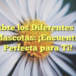 Descubre los Diferentes Tipos de Mascotas: ¡Encuentra la Perfecta para Ti!