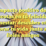 El impacto positivo de las mascotas en tu felicidad y bienestar: descubre cómo mejorar tu vida junto a tus fieles amigos