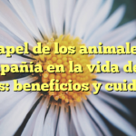 El papel de los animales de compañía en la vida de los niños: beneficios y cuidados