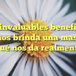 Los invaluables beneficios que nos brinda una mascota: ¿Qué nos da realmente?
