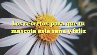 Los secretos para que tu mascota esté sana y feliz