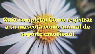 Guía completa: Cómo registrar a tu mascota como animal de soporte emocional