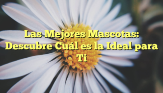 Las Mejores Mascotas: Descubre Cuál es la Ideal para Ti