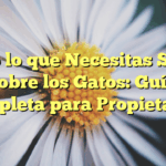 Todo lo que Necesitas Saber sobre los Gatos: Guía Completa para Propietarios