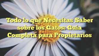 Todo lo que Necesitas Saber sobre los Gatos: Guía Completa para Propietarios