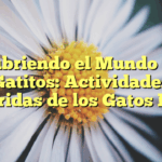 Descubriendo el Mundo de los Gatitos: Actividades Preferidas de los Gatos Bebés